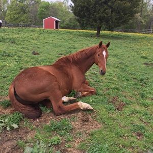 Meet your Posher, Kay